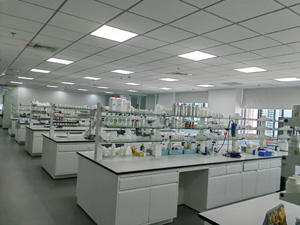 化妝品行業(yè)實驗室家具案例